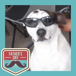 Meet your Posher, Joann